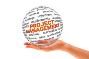 Project Management nuggets from the information badger